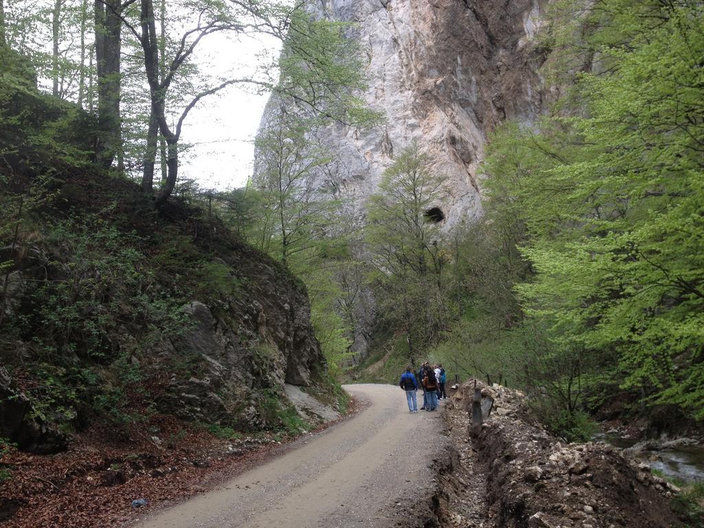 Rosenville Rîşnov Luaran gambar