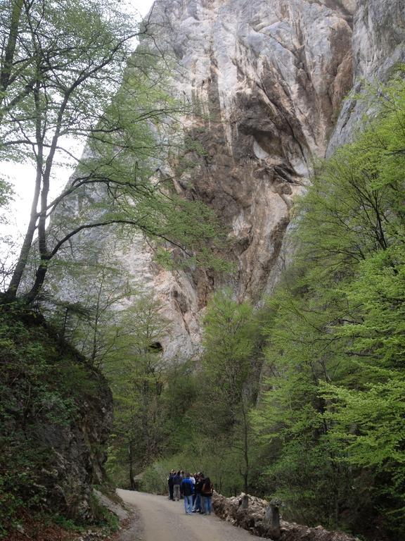 Rosenville Rîşnov Luaran gambar