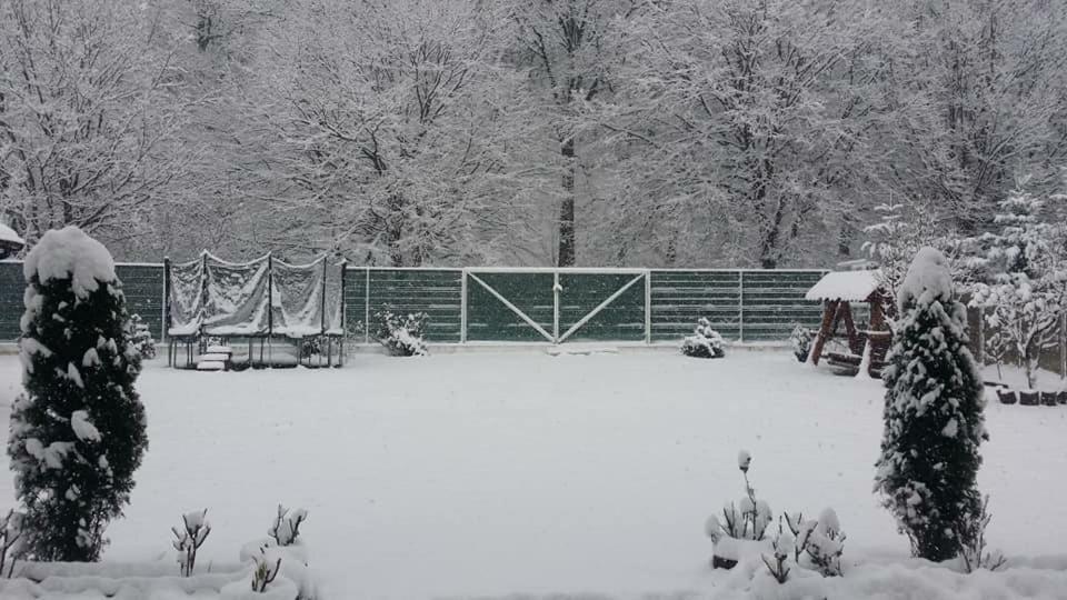Rosenville Rîşnov Luaran gambar