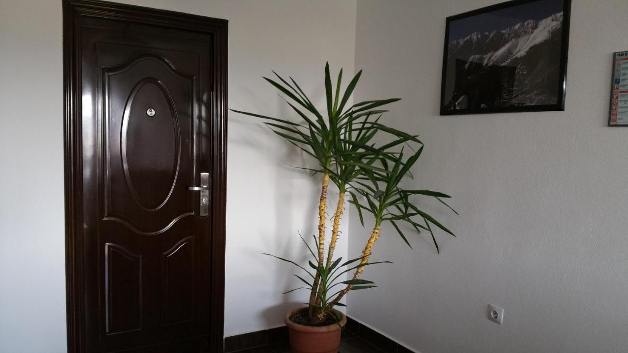 Rosenville Rîşnov Luaran gambar